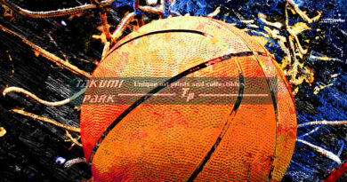 Basketball art print swoosh 112