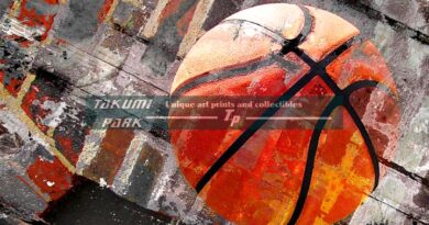 Basketball art swoosh vs 165