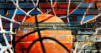 basketball art print swoosh vs 186